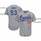Custom Gray Royal-Red Baseball Jersey Custom Gray Royal-Red Baseball Jersey