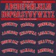 Custom Navy Red-White Performance T-Shirt